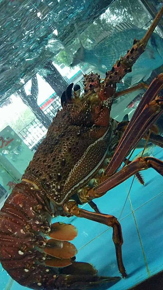 佳佳旺食府(紫竹六道店)