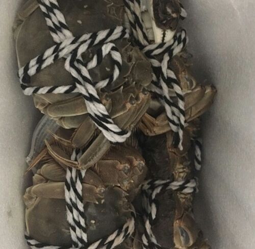 阿瘦农家蟹庄·阳澄湖大闸蟹·农家乐(莲花岛店)