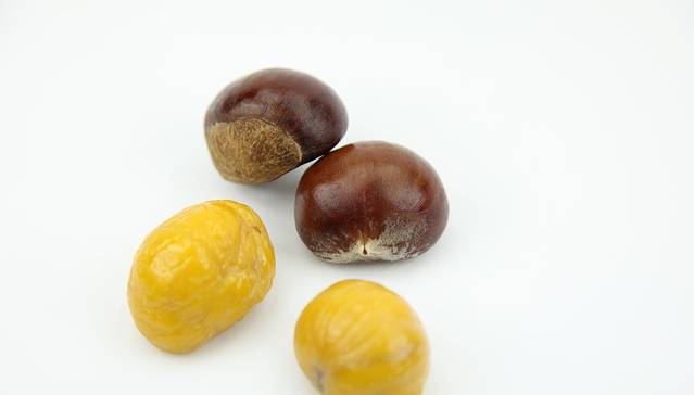 一栗·新鲜零食(北行新华书店店)