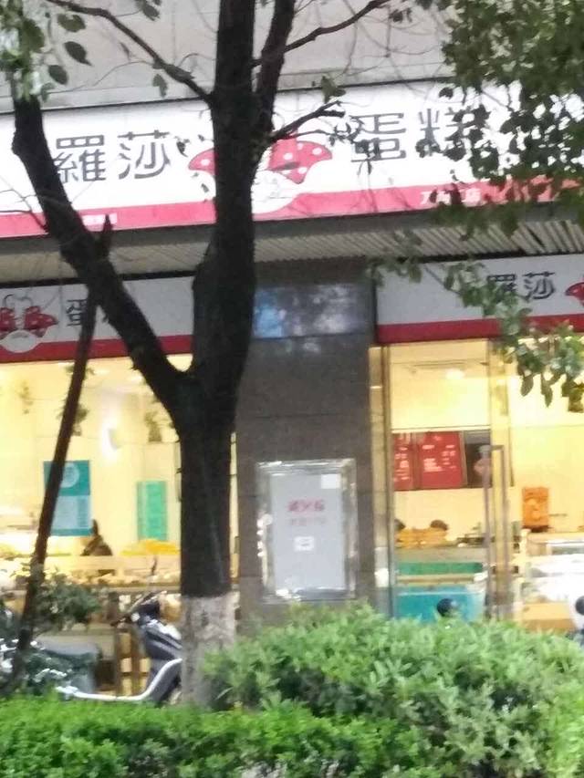 罗莎蛋糕(万博汇店)
