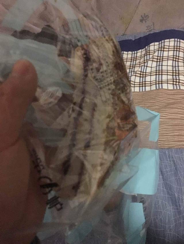 第一炉面包(高专店)