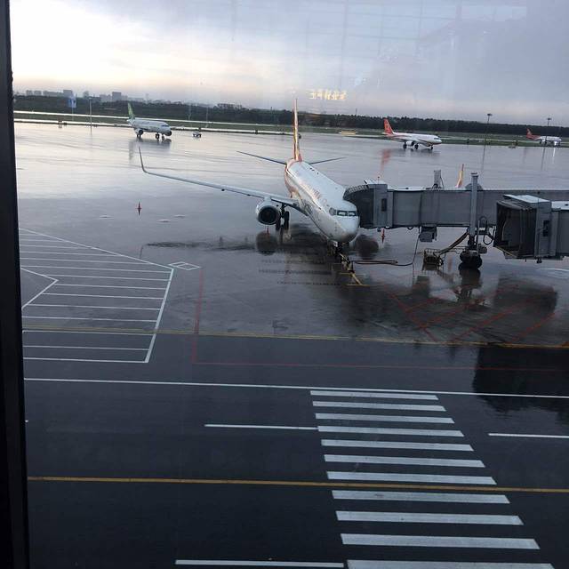 沟帮子熏鸡(桃仙机场店)