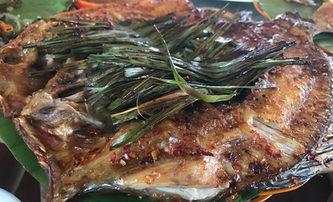 曼回索姐妹傣家乐