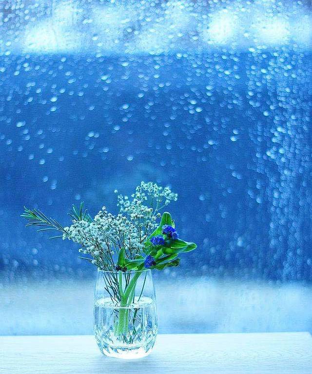 绝味鸭脖(宝龙广场店)