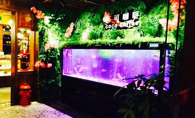 可可咖啡(南坝店)