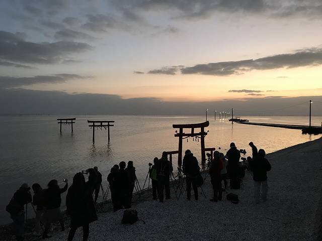 大鱼神社之海中鸟居