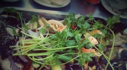 姜太公烤活鱼(珠江路店)