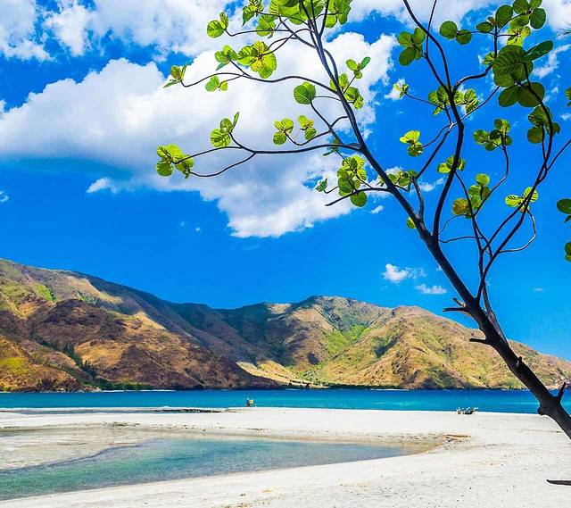 仁李记啤酒烤鸭(姜寨路总店)