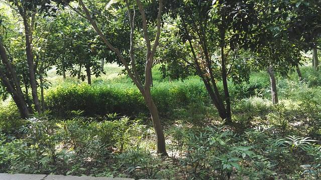 镇江海逸思泊丽大酒店·泊粤轩