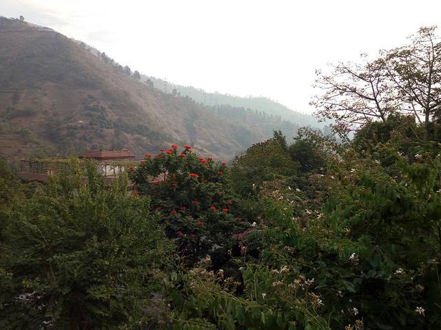 鲜嫩阳光肥牛火锅店(东风家园店)