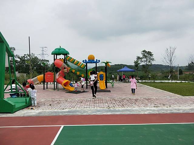 大明山万古茶园