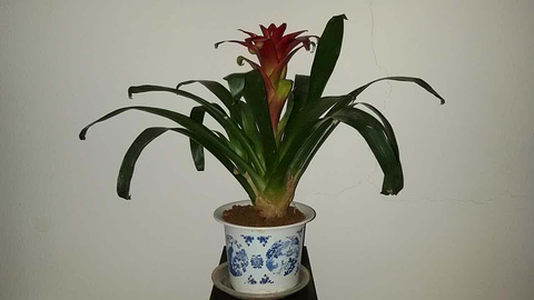藕巷 汉帮菜馆