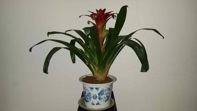 藕巷汉帮菜·老汉口城市味道(光谷一路店)