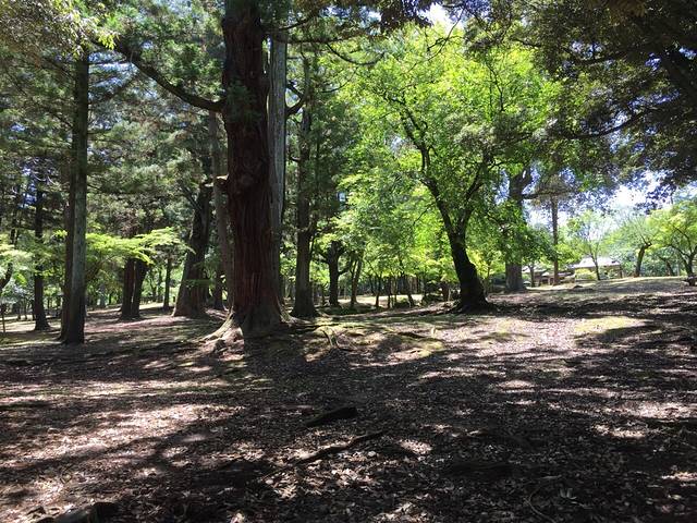 春日大社国宝殿