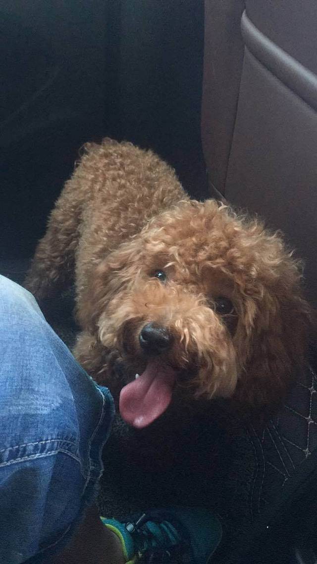 辛上庄私房菜(坊子店)