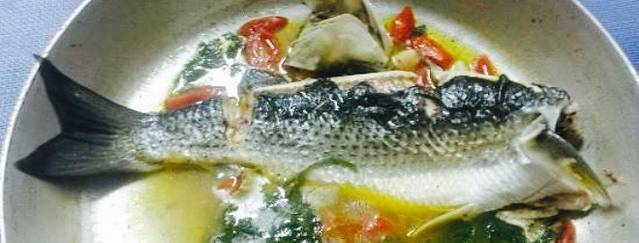 Trattoria Pizzeria Fuori Porta