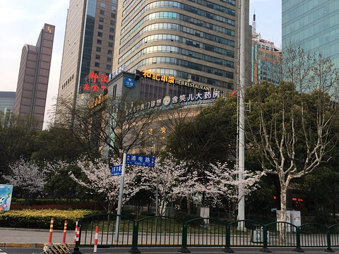 上海含笑儿大药房旅游景点图片