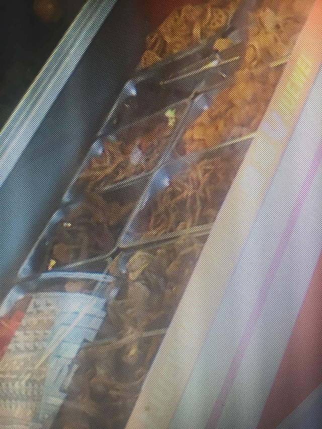 绝味鸭脖(圣迪店)