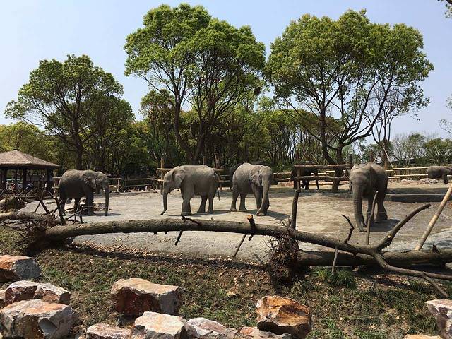 肯德基(郎溪苏果店)