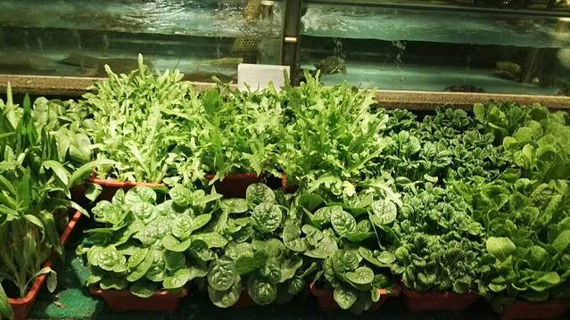 一屋一食主题餐厅(富源里店)