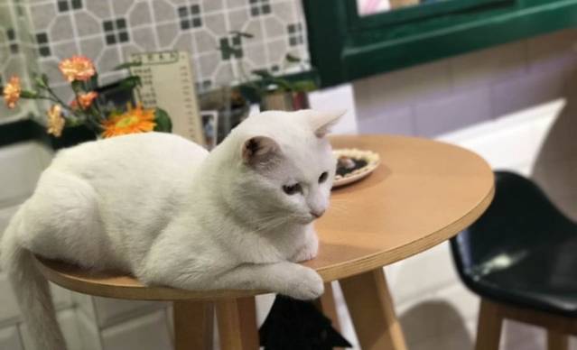 大通冰室(香港茶点江东店)