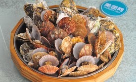 味到1981日照小海鲜