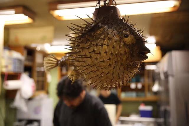 高玉日本料理(民生店)