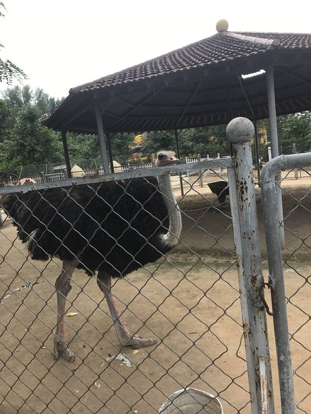 意大利农场餐厅