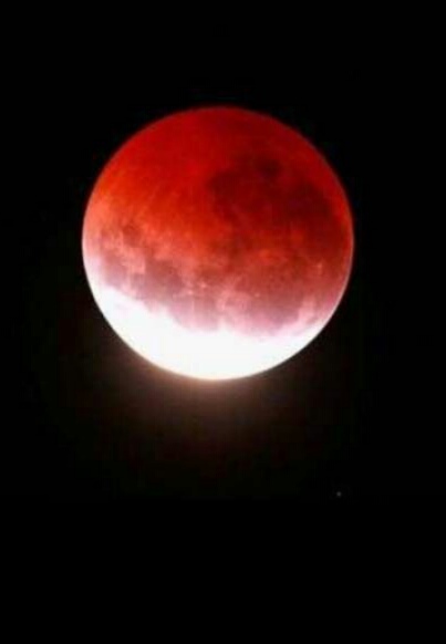 秘苑韩餐料理(红梅店)