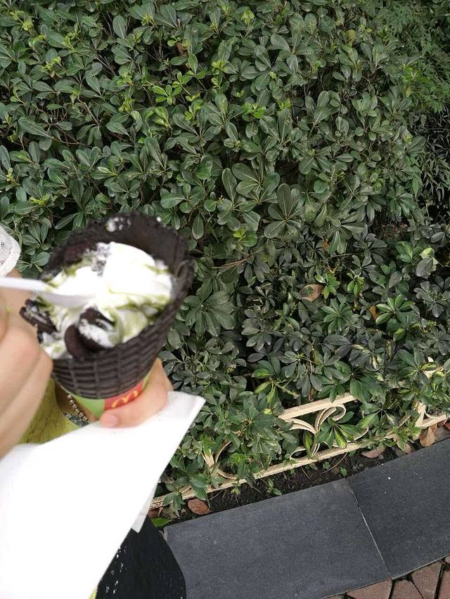 麦当劳(成都欢乐谷白塔餐厅)