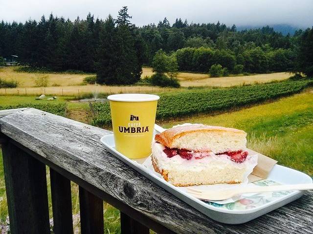 Saison Market Vinyard