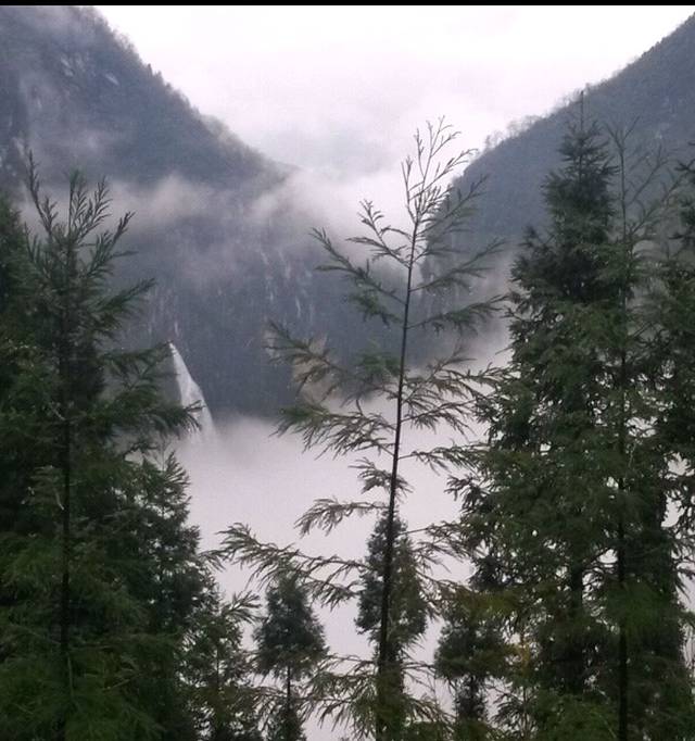 鹿院坪华仔农家