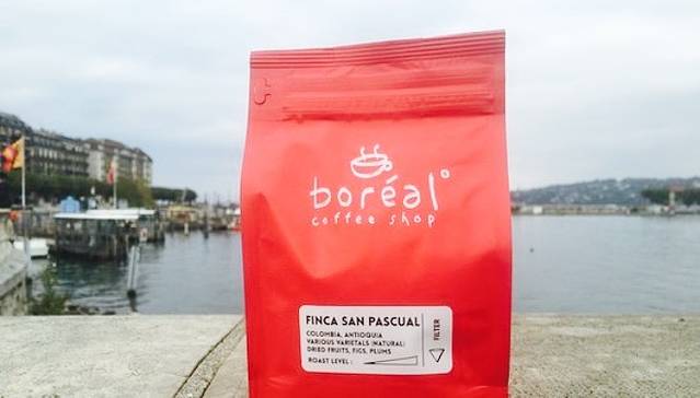 Boreal Coffee Shop - Stand