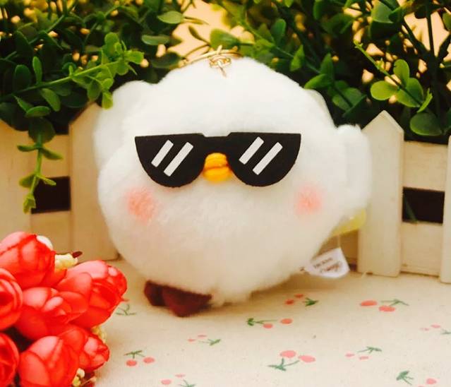 鸽子粮缘(历山路店)