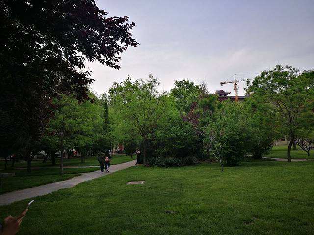 板栗香酥饼(曲师大店)