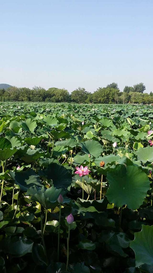 老街(淮海西路店)