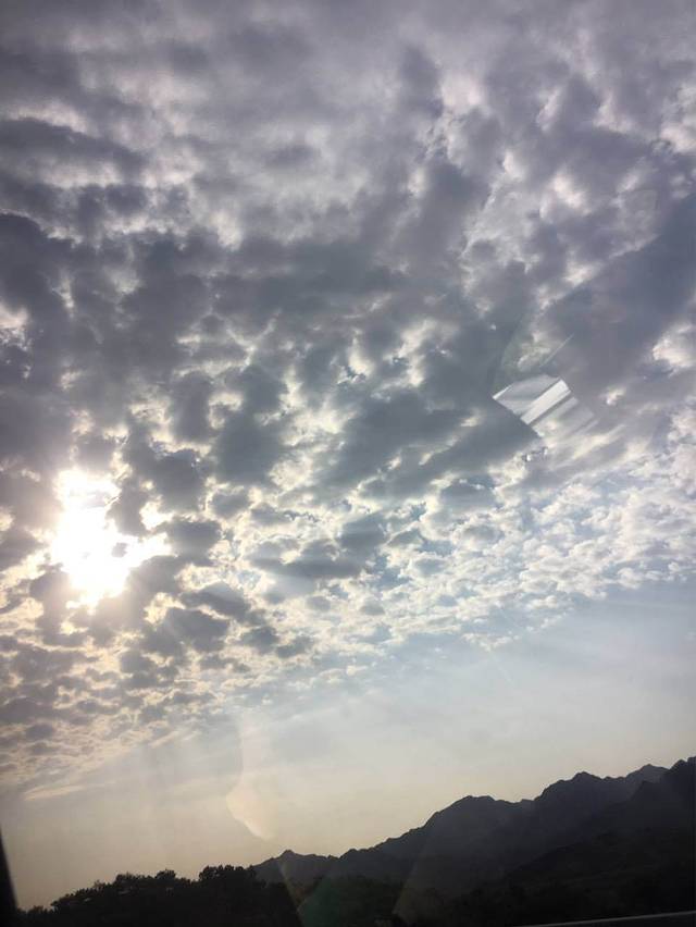 西部马华牛肉面·烧烤(万泉河店)