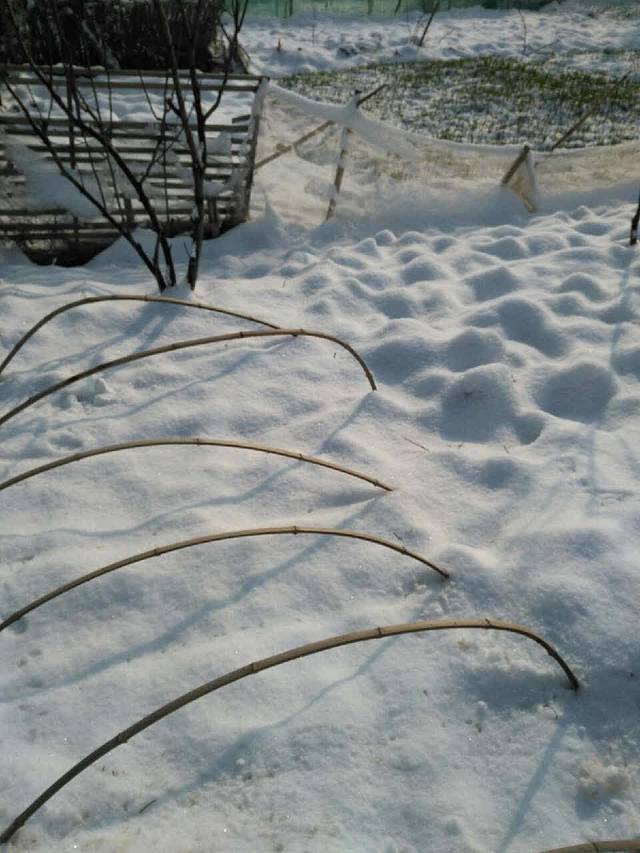 顺客福(胡埭店)