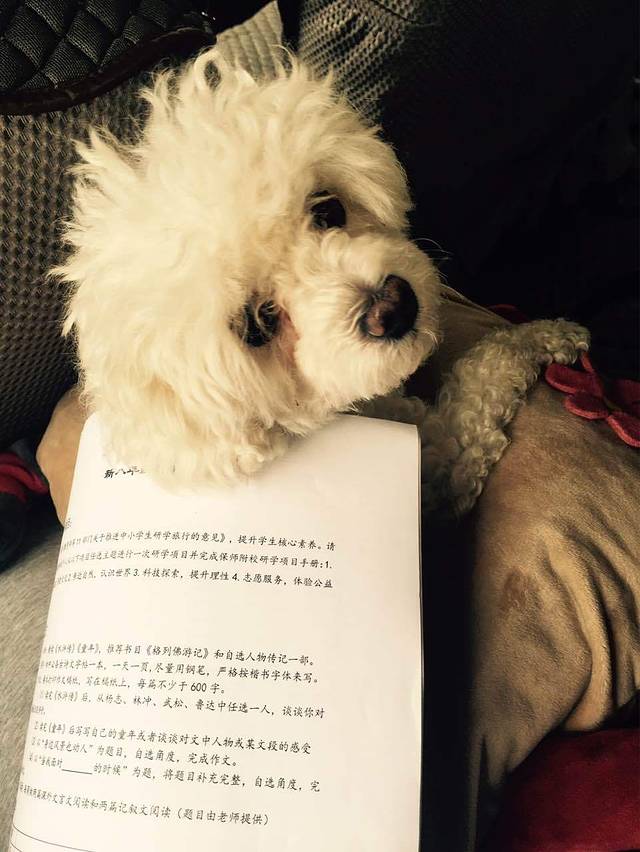 志广好滋味(五一九店)