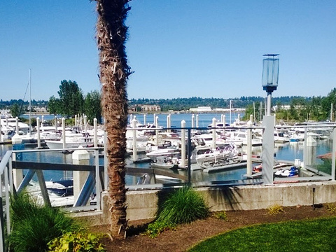 3 sheets at the harbor