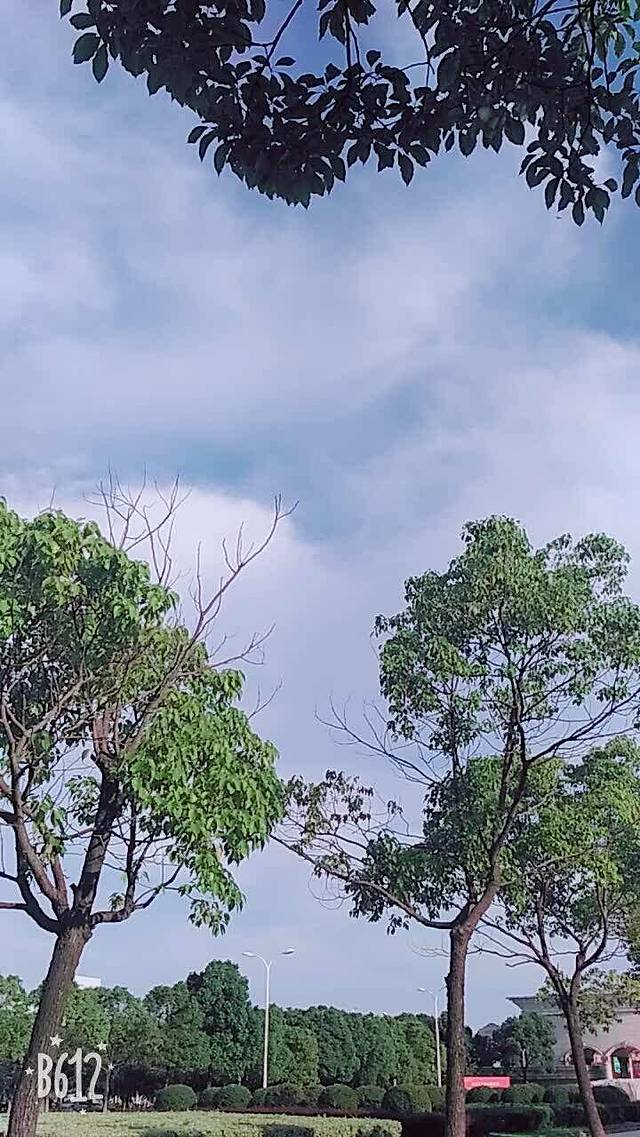 莎莉文(红旗店)