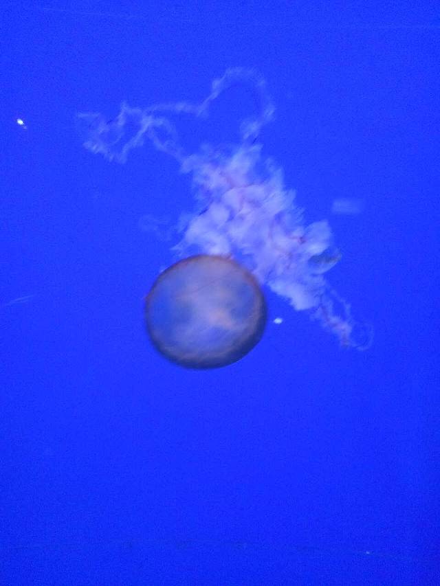 御清香粥道馆(光州东路店)