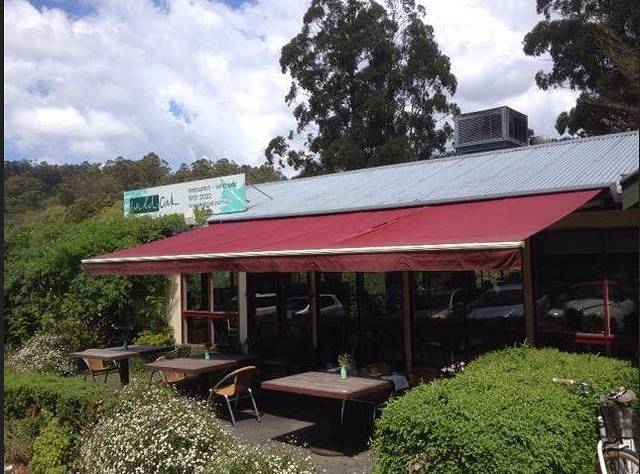 Wild Oak Cafe