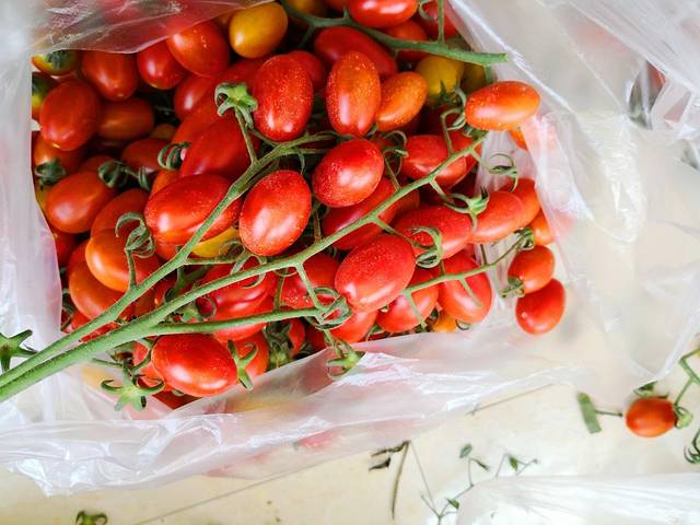 无棣润春家庭农场