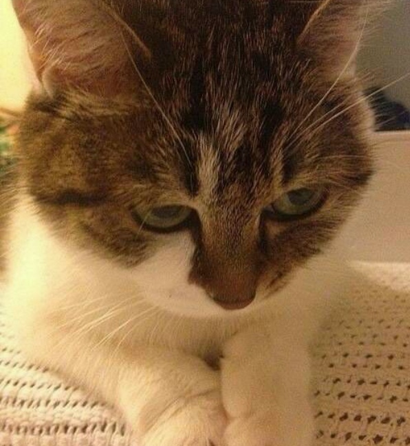 酷味乐智选餐厅(长安店)