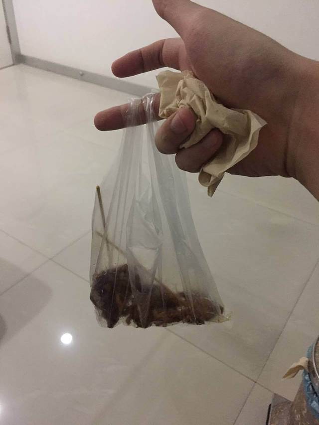 滋洛猪排(莘塍店)