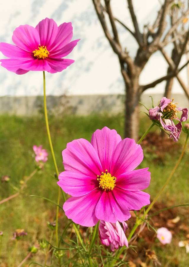 瑞兴美食楼(鹿城路店)