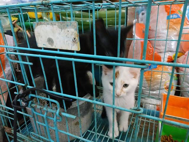 双季花艺市场(浦东店)