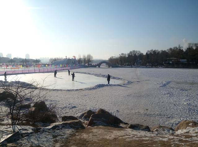 南部林地风光区