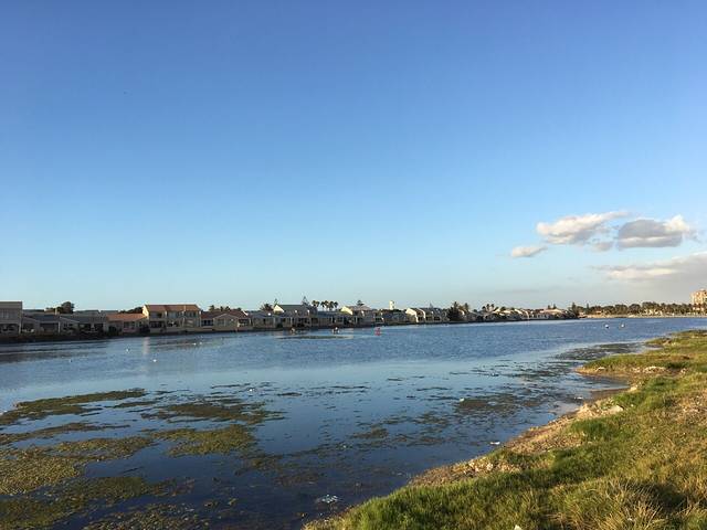 Bothasig Fynbos Nature Reserve